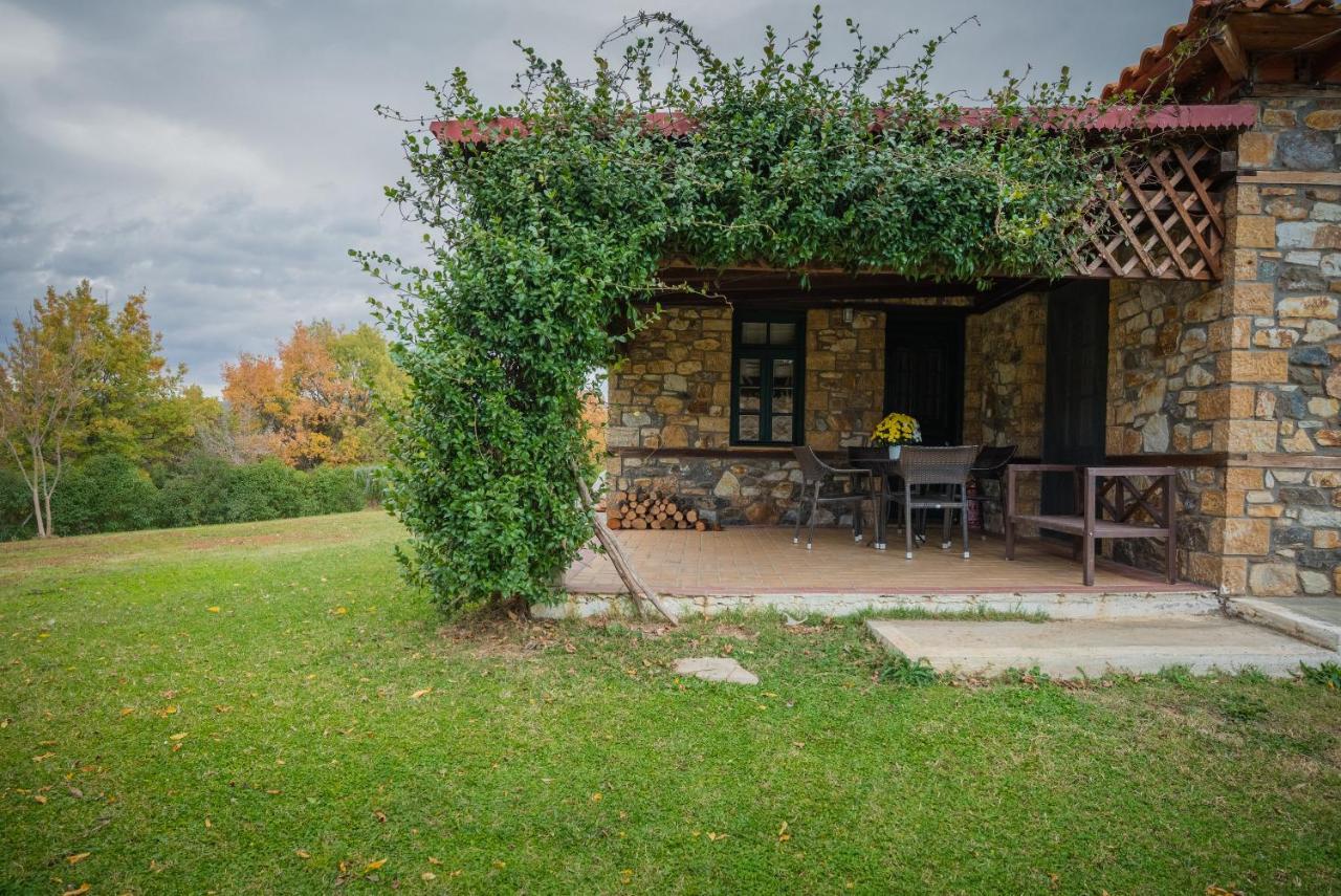 Platanorema Villa Agios Ioannis Prodromos Exterior photo